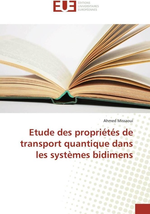 Produktbild Etude des propriétés de transport quantique dans les systèmes bidimens (Ahmed Missaoui, 2018)