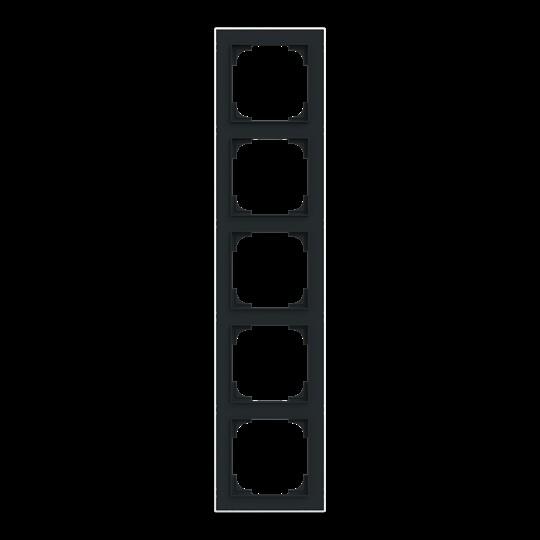 Actual product image Busch-Jaeger BUSC frame