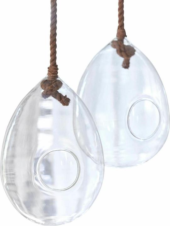 Loberon Glas-Ei 2er Set Noam klar/braun (2x)