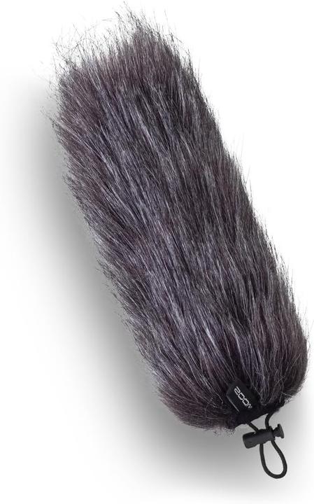 Immagine prodotto Zoom SSH-6e (Microfono)