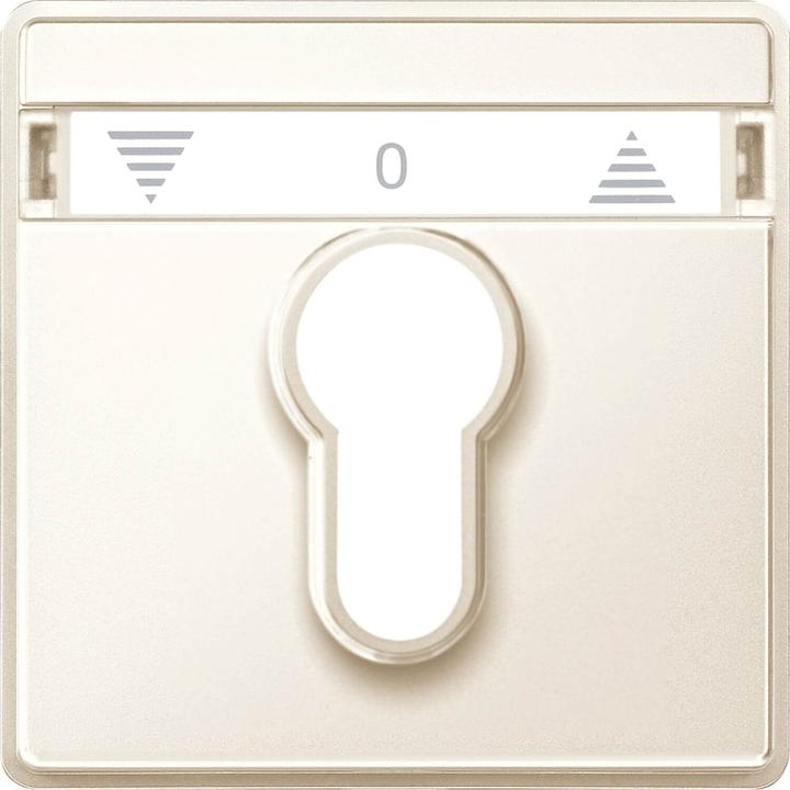 Cream white (electric white)