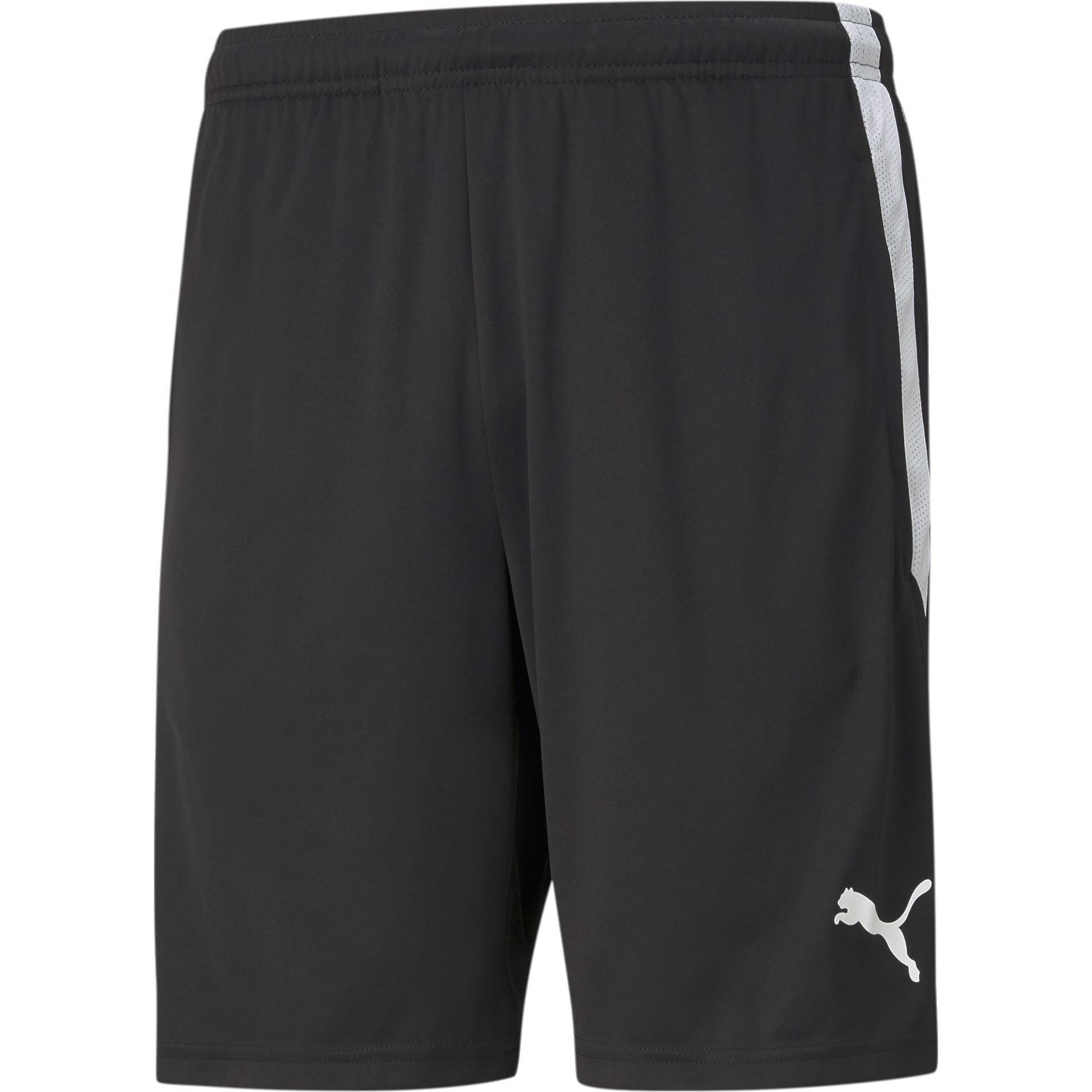 Puma, Herren, Sporthose, teamLIGA Training Shorts-657249 (XL), Schwarz, XL
