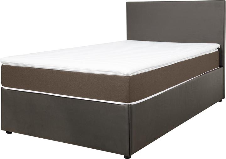 Gris brun, Marron clair