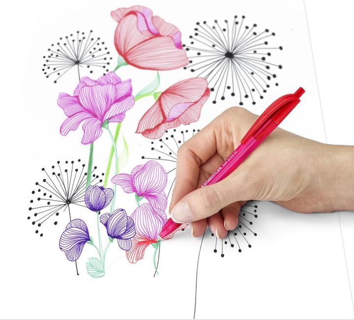 Actual product image Staedtler Biros ball 4230 M black (Black, 1x)