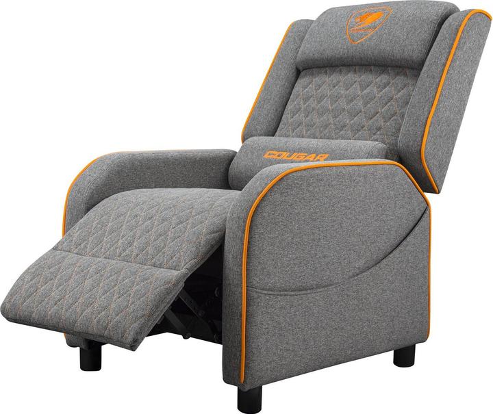 Actual product image Cougar Ranger One