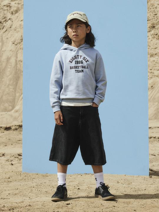 Produktbild Name it Bio-Baumwoll Hoodie (116)