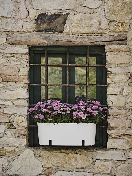 Produktbild Jaco Re Lite Pot Paros (50 x 19 x 19 cm)
