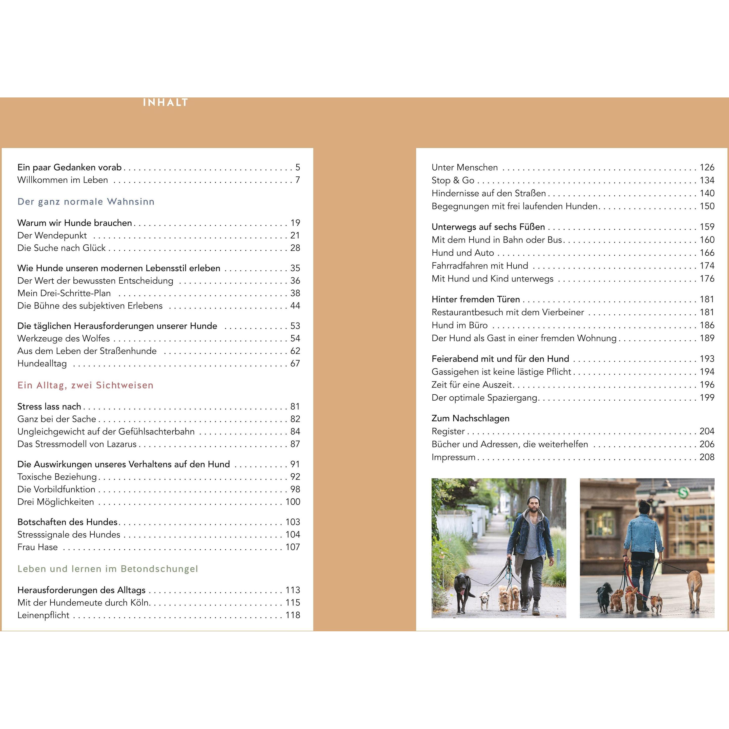 Thumbnail - Stadt-Wölfe, Ratgeber von Masih Samin