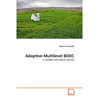 Adaptive-Multilevel BDDC, Fachbücher