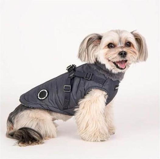 Produktbild Puppia Donavan (XXL, Hundemantel)