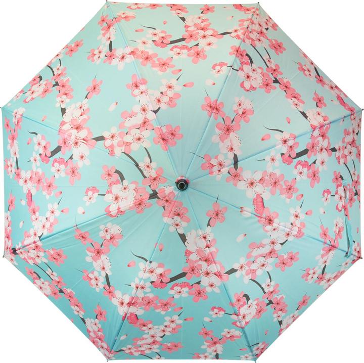 Image du produit Fisura Sakura