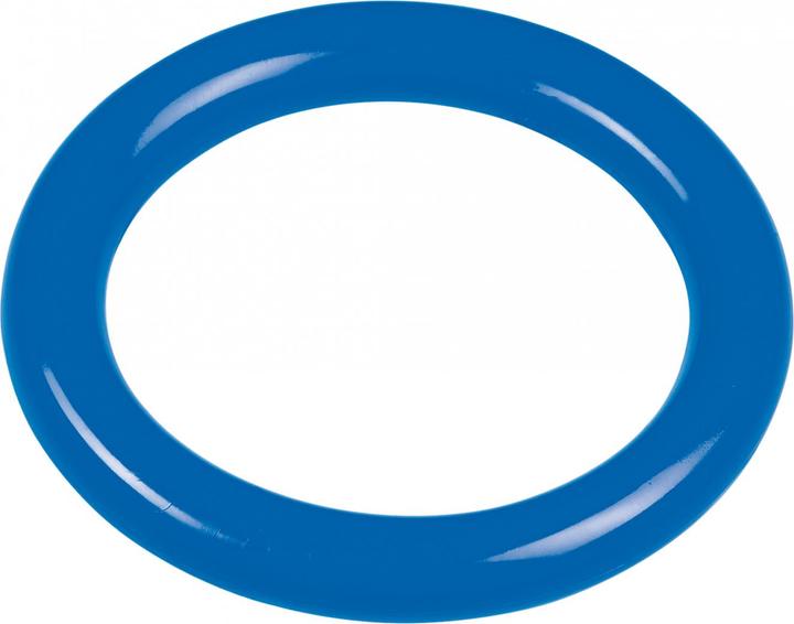Actual product image Beco BASIC diving ring blue
