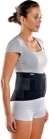 Produktbild BraceID Contoured Back Support (L)