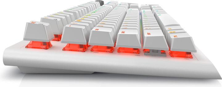 Immagine prodotto Dell Alienware AW920K (USA, Cablato, Senza fili)