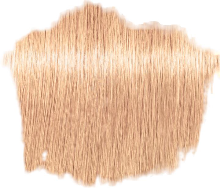 Actual product image Schwarzkopf Professional IGORA VIBRANCE Tone On Tone Colouration (9.5-49 Beige violet)