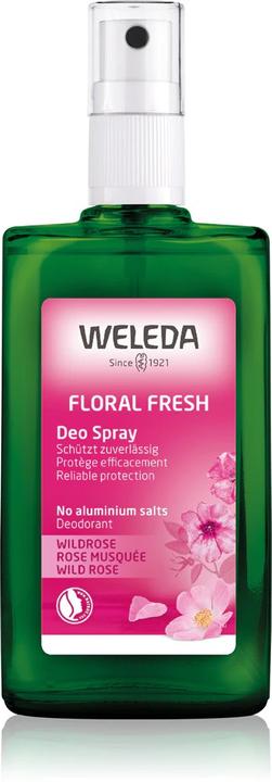 Actual product image Weleda Wild Rose Deodorant (Spray, 100 ml)