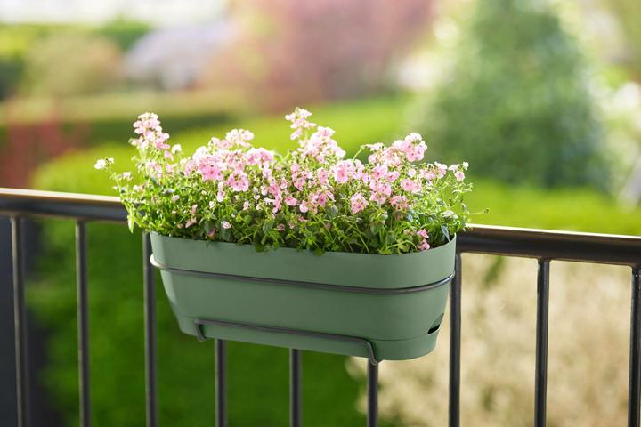 Produktbild Elho Vibia Campana Balkonkasten Allin1 (70 cm)