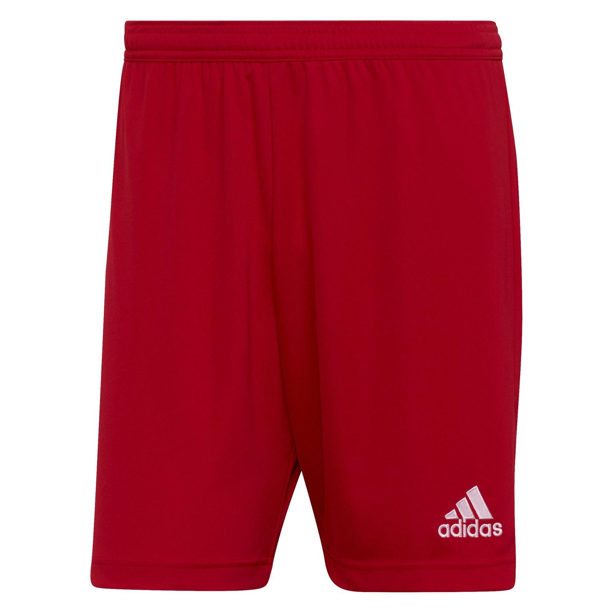 Adidas, Mannen, Sportbroek, Spodenki Entrada 22 Kort H61735 Czerwony M (M), Blauw, Rood