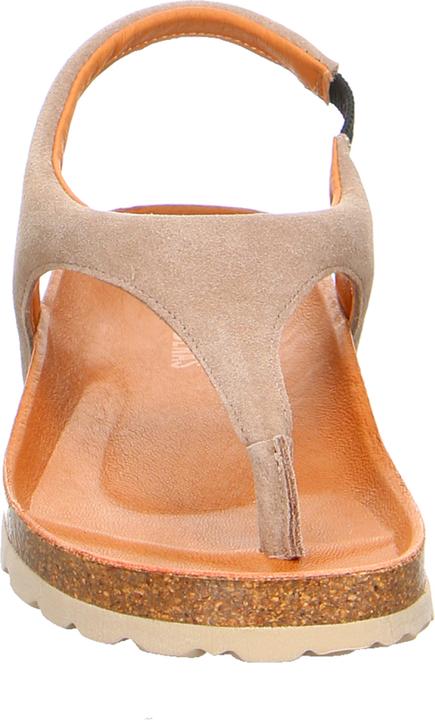 Actual product image Verbenas REAGAN Piedra (40)