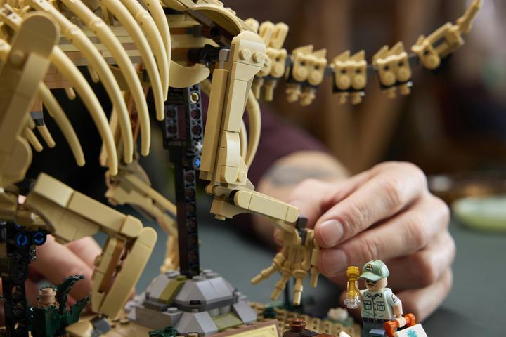 Produktbild LEGO Dinosaurier-Fossilien: Triceratops (77985, LEGO Jurassic World)
