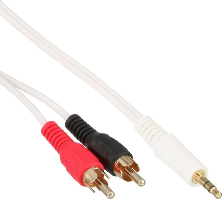 InLine Cinch/jack cable (3 m, Cinch, 3.5mm jack (AUX))