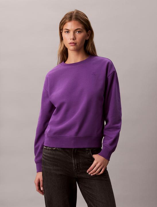 Produktbild Calvin Klein Jeans Ls Archive Logo French Terry Rlx (M)