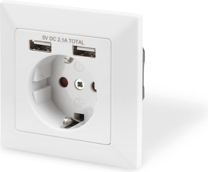 Actual product image Digitus Socket with 2 USB ports
