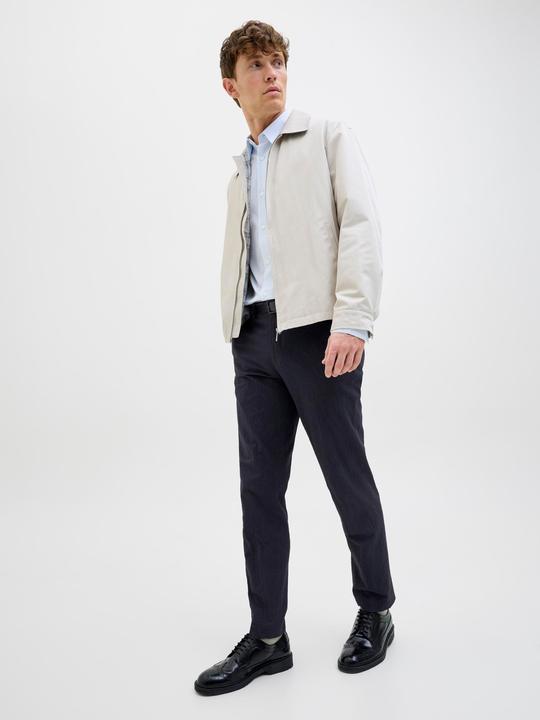 Actual product image Jack & Jones Jprstan Seersucker Trouser (48)