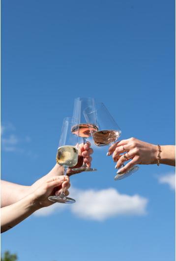 Actual product image Schott Zwiesel Champagne glass MioVino 7 4 pieces (26 cl, 4 Glasses, Champagne glasses)