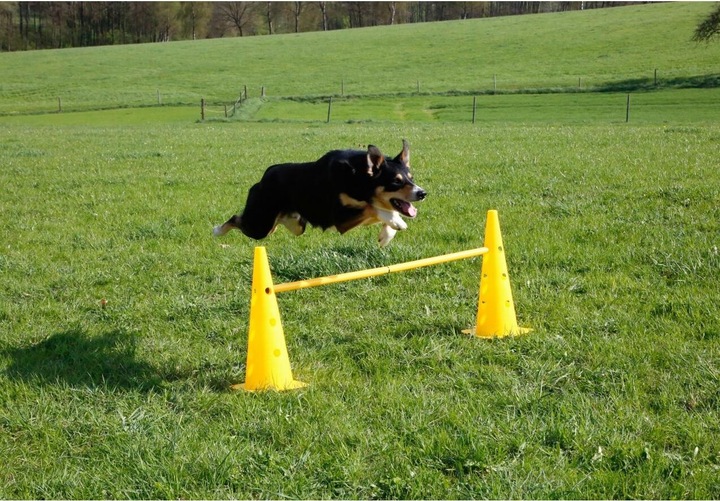 Image du produit Kerbl Kit de pylônes-haies Agility (Taille unique, Agility)