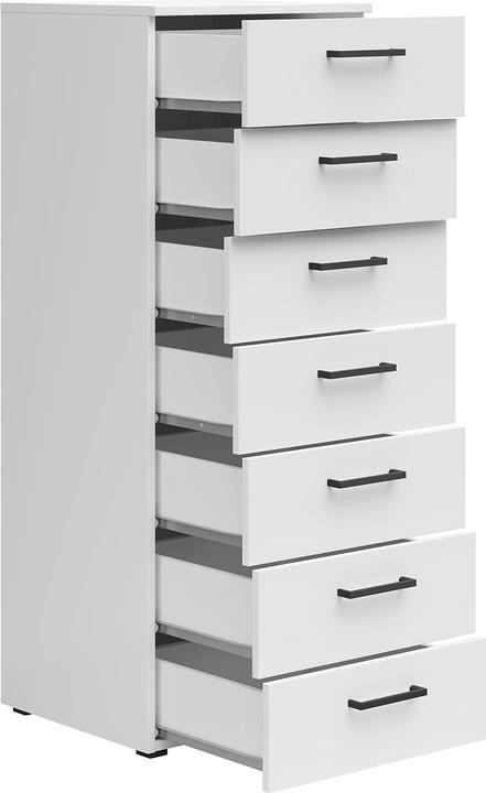Image du produit Lipo Cabinet (45 x 40 x 115 cm)