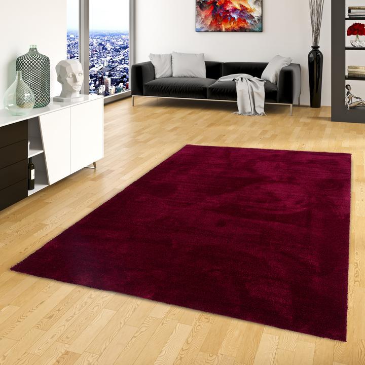 Actual product image Snapstyle Super Soft Hochflorteppich Livorno (80 x 240 cm)