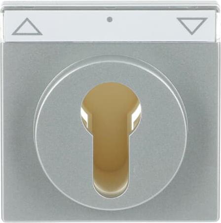 Actual product image Busch-Jaeger Central plate with labelling field 2CKA001710A3662