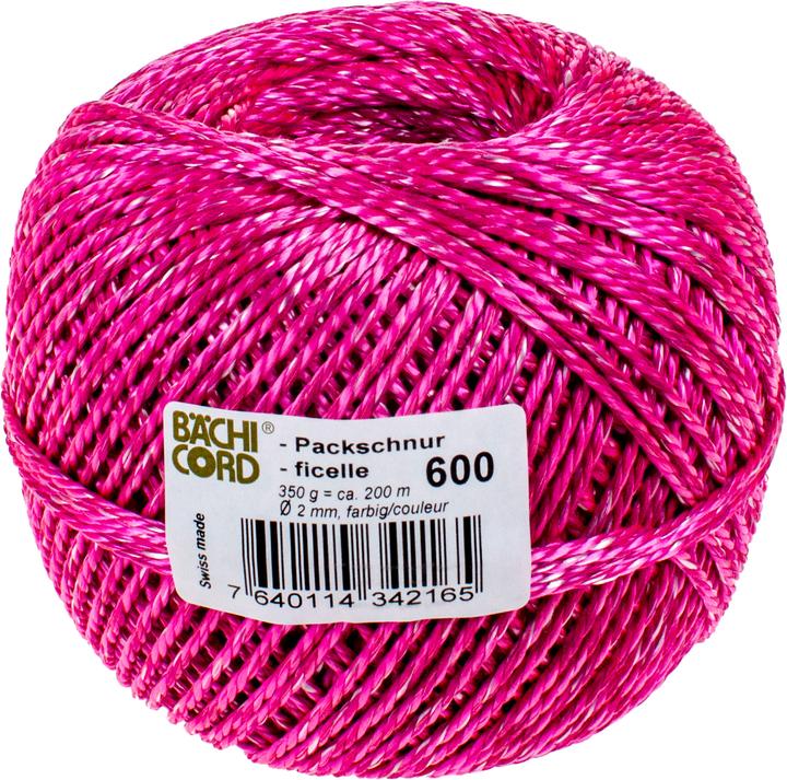 Actual product image Bächi-Cord BC packing cord no.600m (assorted) (1 pcs.)