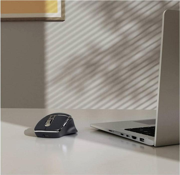 Immagine prodotto Hama WM-800 (Senza fili)