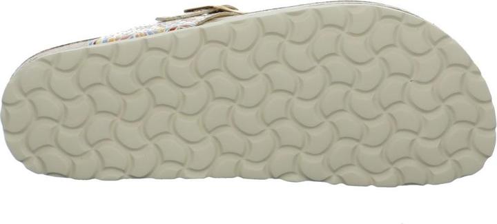 Image du produit Biolife Bioflor (41)