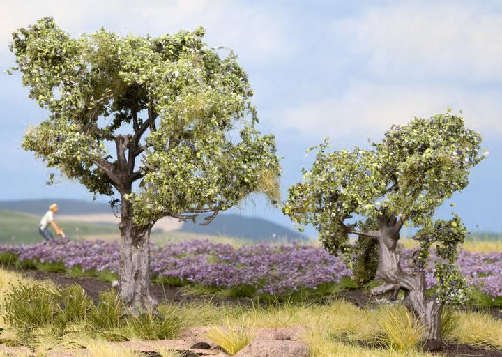 Image du produit Noch Pack d'arbres Olivier 60 à