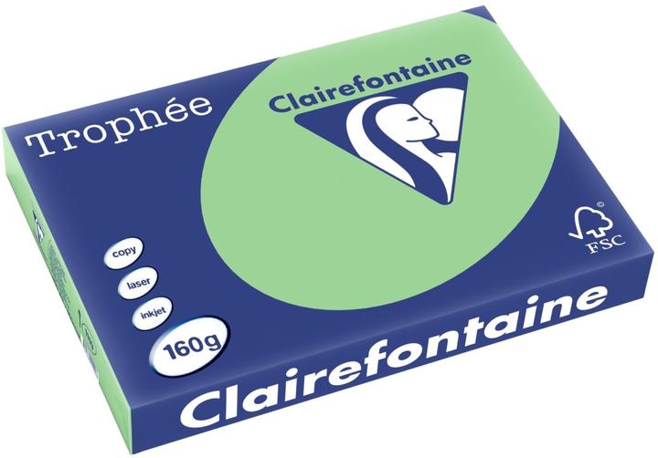Image du produit Clairalfa Papier multifonctions Troph'e A3, vert naturel (160 g/m², 250 x, A3)