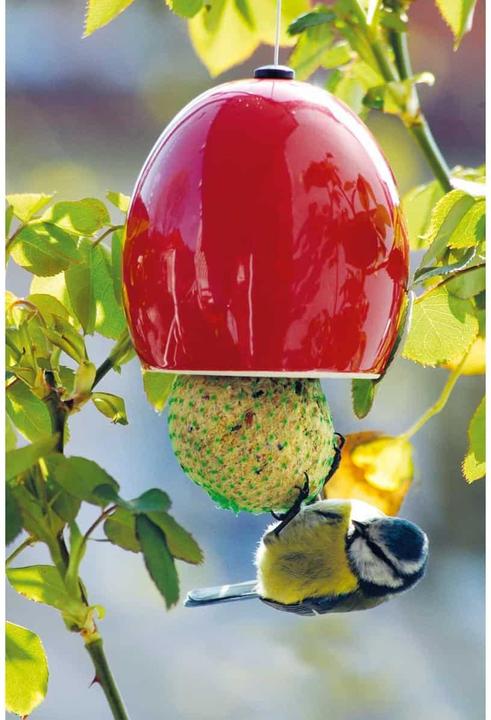 Produktbild Luxus-Vogelhaus Knödel