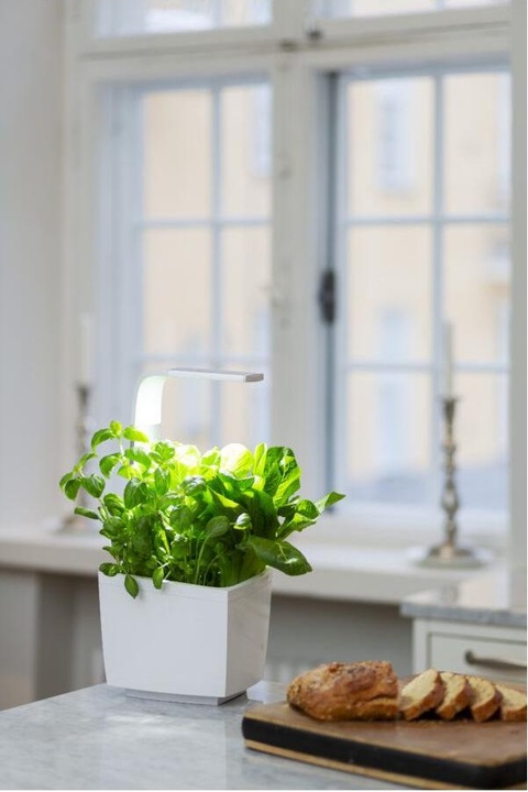 Produktbild Tregren Kräutertopf T3 (19.50 cm)