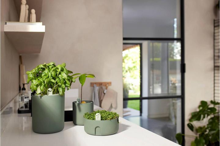 Actual product image Elho Magic Microgreens (16.80 cm)