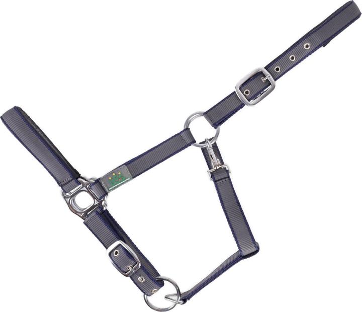 Immagine prodotto Usg Everyday