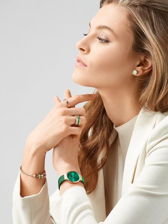 Immagine prodotto Bering Classic (Orologio da polso analogico, 31 mm)