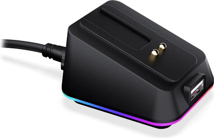 Endorfy Mouse Dock Black, für LIV Wireless, LIV Plus Wireless (schwarz, Kabel 1,8 Meter)
