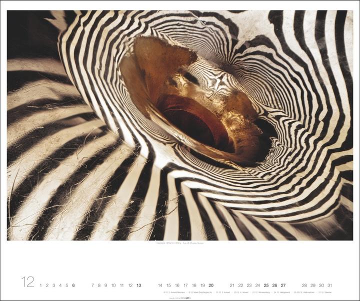 Produktbild Architecture in Music Kalender 2026 - Musikinstrumente von innen (55 x 46 cm)