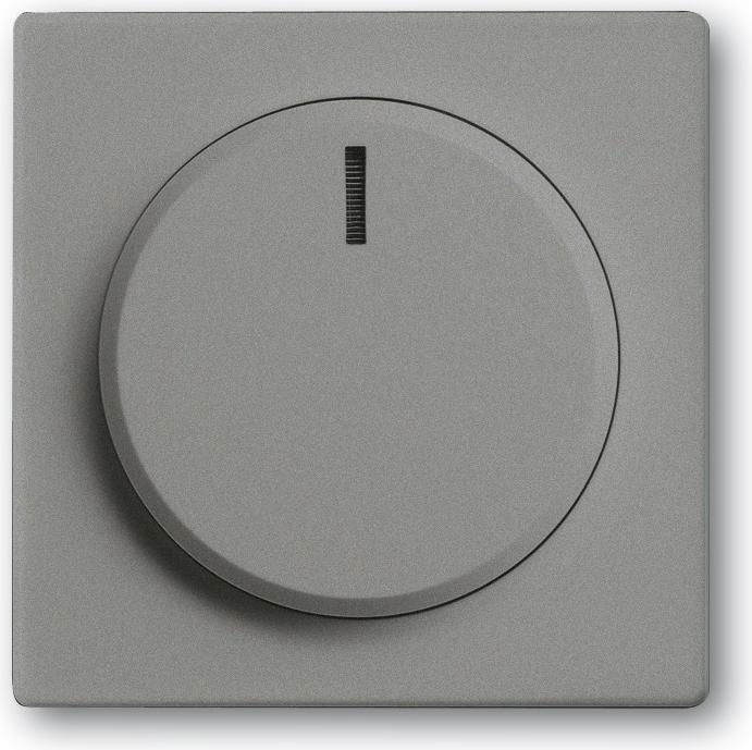 Actual product image Busch-Jaeger Central disk