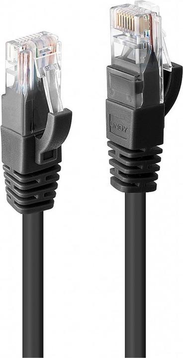Actual product image Lindy Network cable (U/UTP, CAT6, 0.30 m)