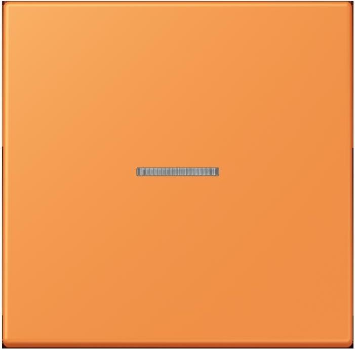 Actual product image JUNG Button