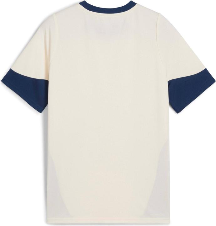 Produktbild Puma FPF Training Jersey Jr (152)