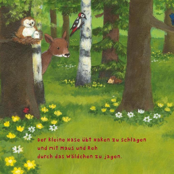 Immagine prodotto Baby Pixi (infrangibile) 97: Il coniglietto (Tedesco)